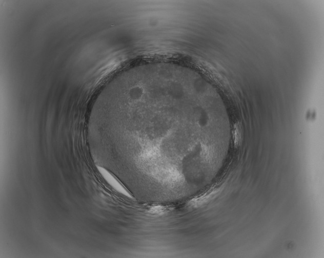 X0000094461059200711151445