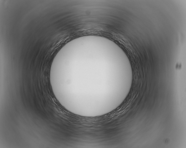 X0000094461060200711151445