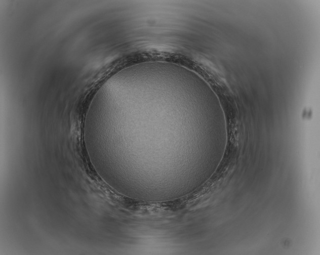 X0000094461061200711151445
