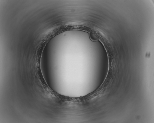 X0000094461062200711151445