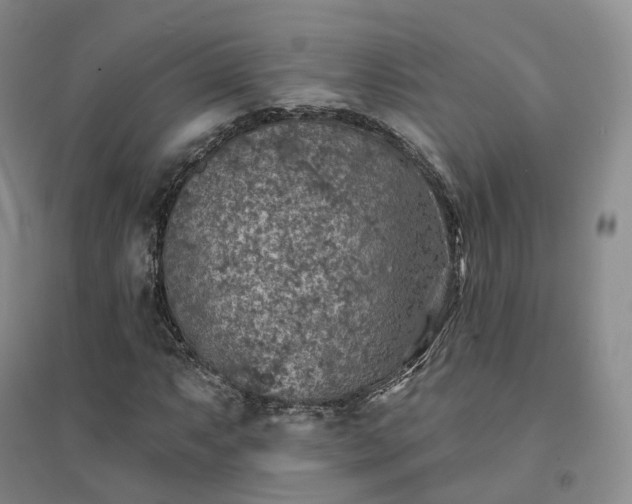 X0000094461063200711151445
