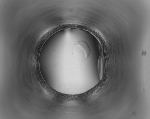 X0000094461064200711151445