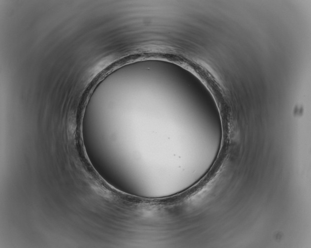 X0000094461065200711151445