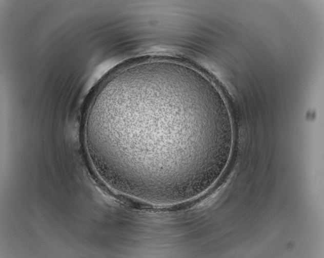 X0000094461066200711151445