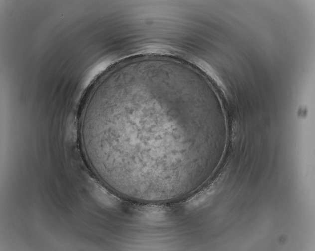 X0000094461067200711151445