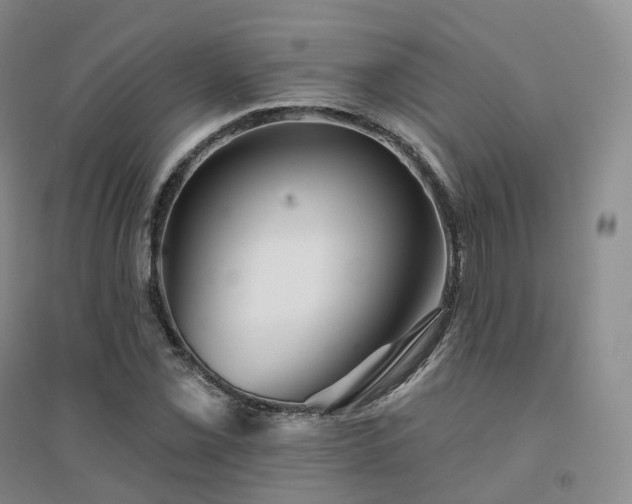 X0000094461069200711151445