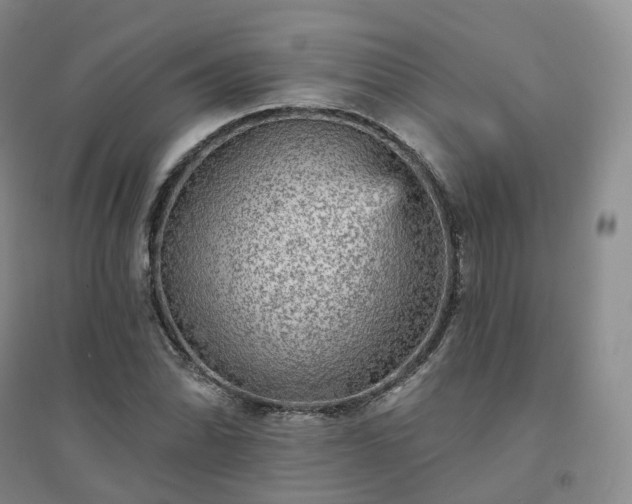 X0000094461070200711151444