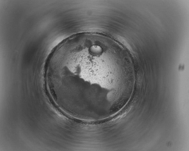 X0000094461071200711151444