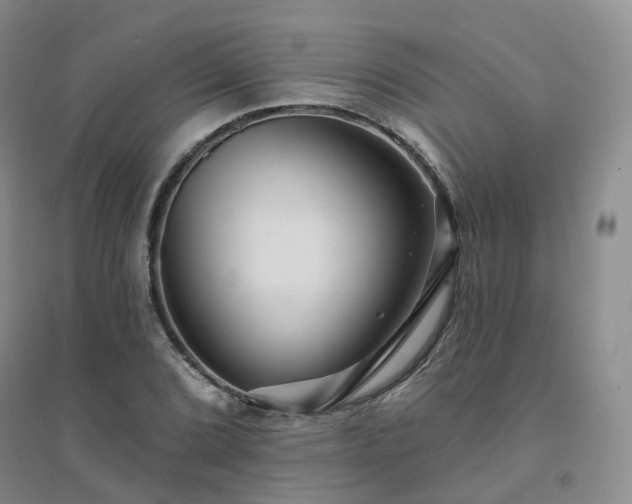 X0000094461072200711151444
