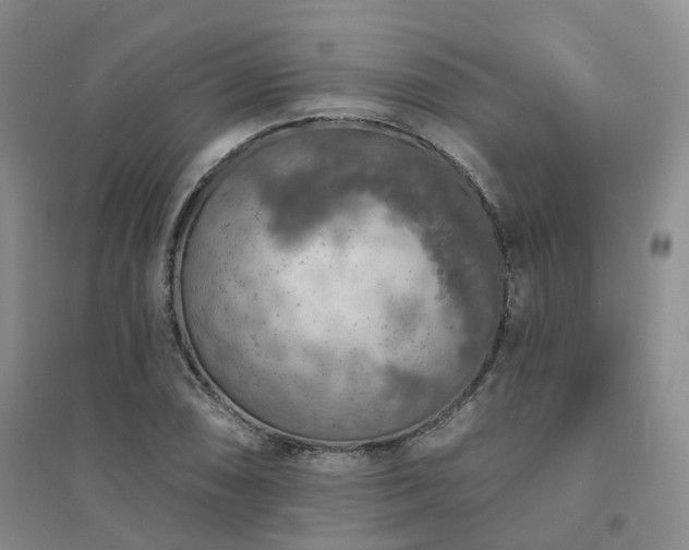 X0000094461074200711151444