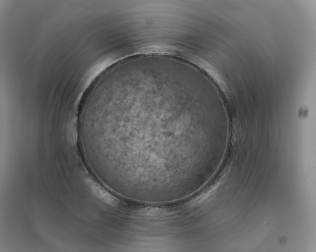 X0000094461075200711151444