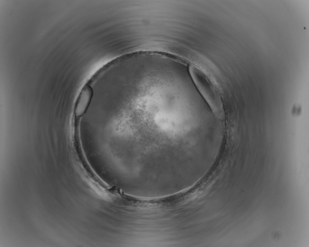 X0000094461076200711151444