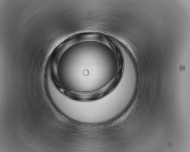 X0000094461077200711151444