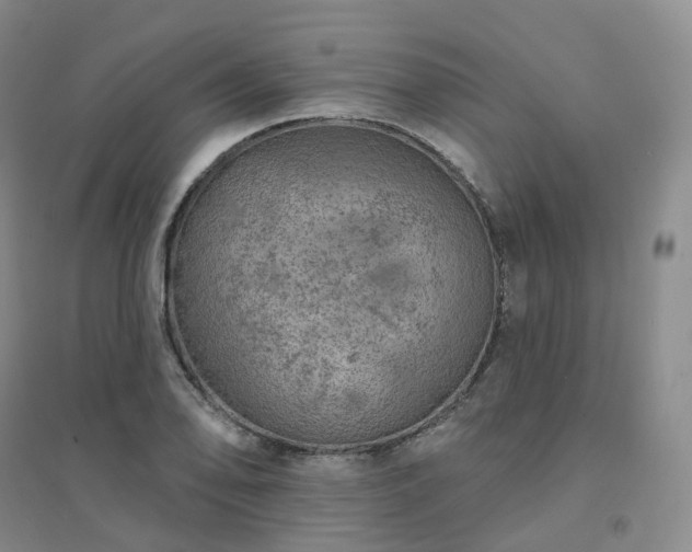 X0000094461078200711151444