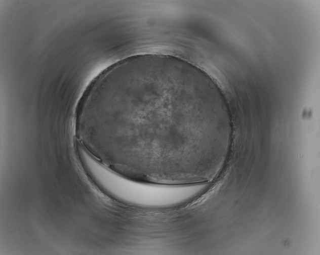 X0000094461079200711151444