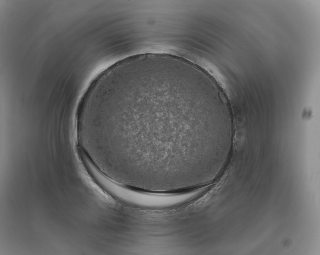 X0000094461080200711151444