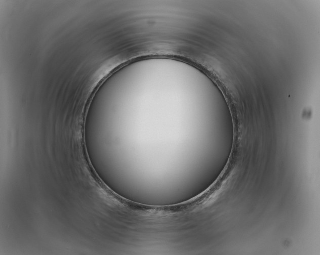 X0000094461081200711151444