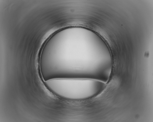 X0000094461082200711151444