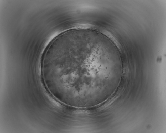 X0000094461083200711151444