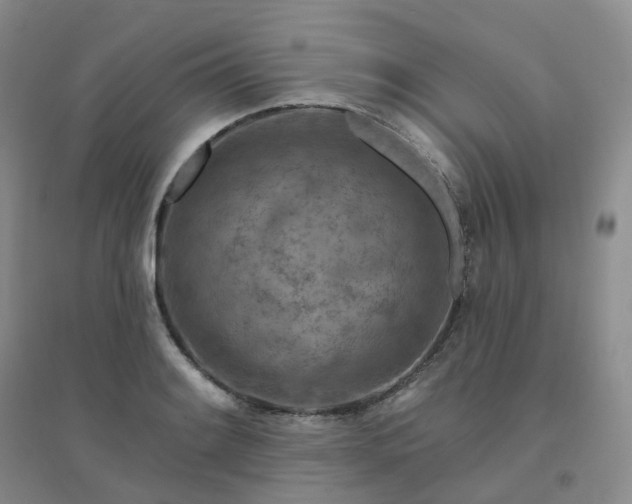 X0000094461084200711151444