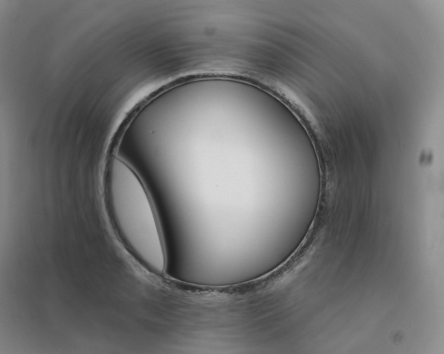X0000094461085200711151444