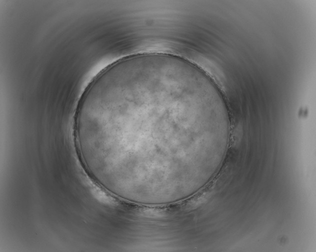 X0000094461086200711151444
