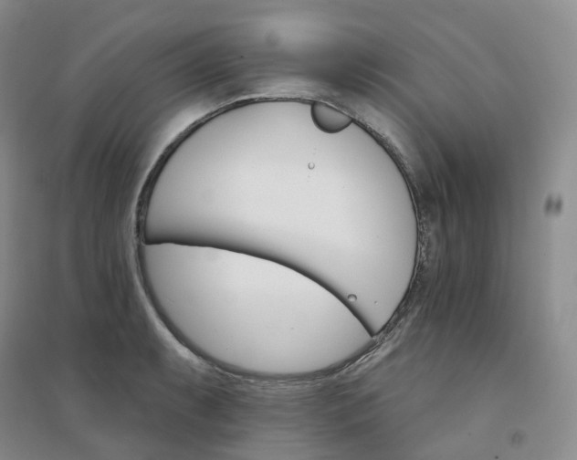 X0000094461087200711151444