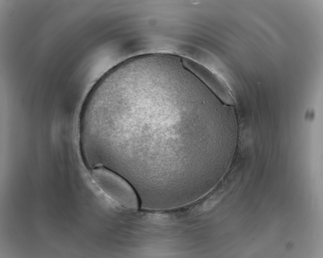 X0000094461088200711151444