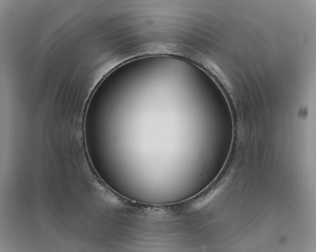 X0000094461089200711151444