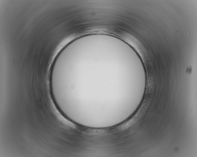 X0000094461090200711151444