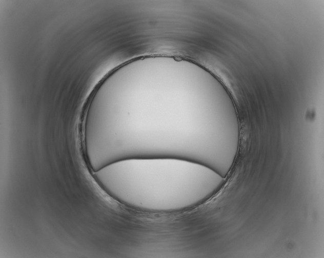 X0000094461091200711151444
