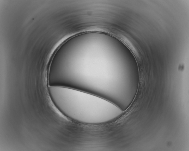 X0000094461092200711151444