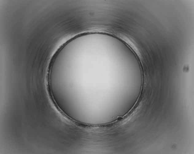 X0000094461093200711151444