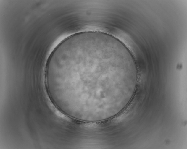 X0000094461094200711151444