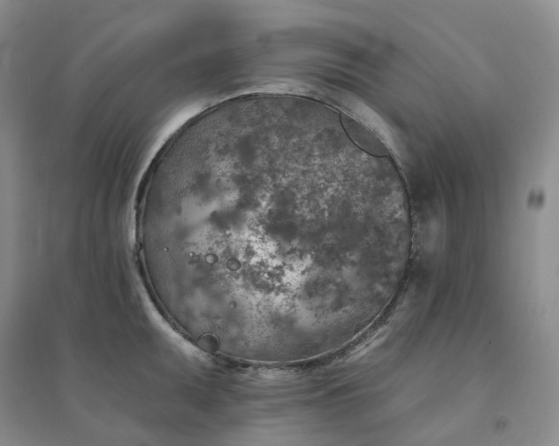 X0000094461095200711151444