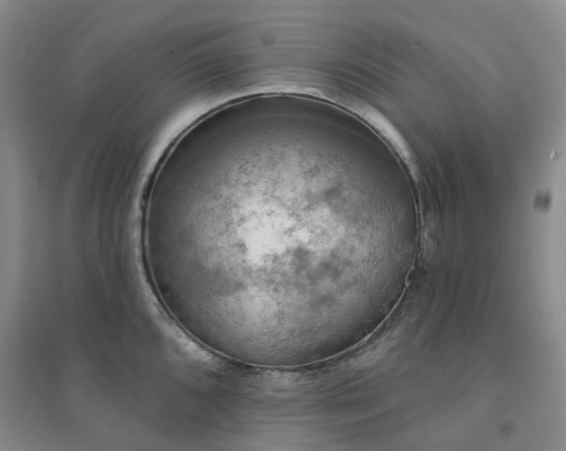X0000094461096200711151444
