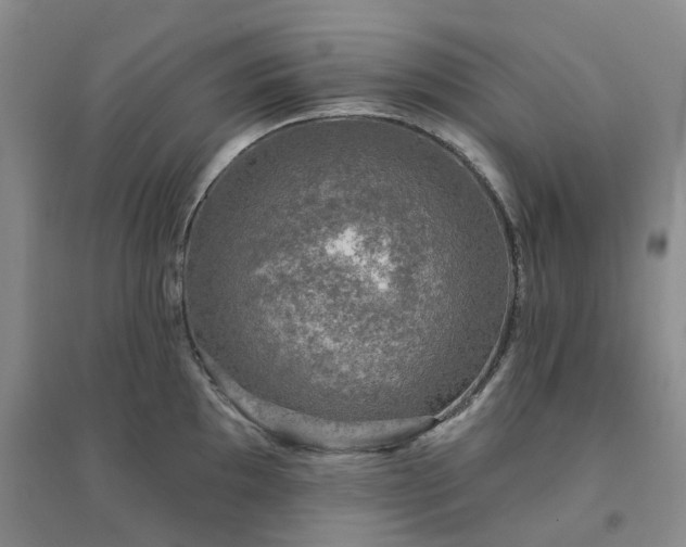 X0000094461097200711151444