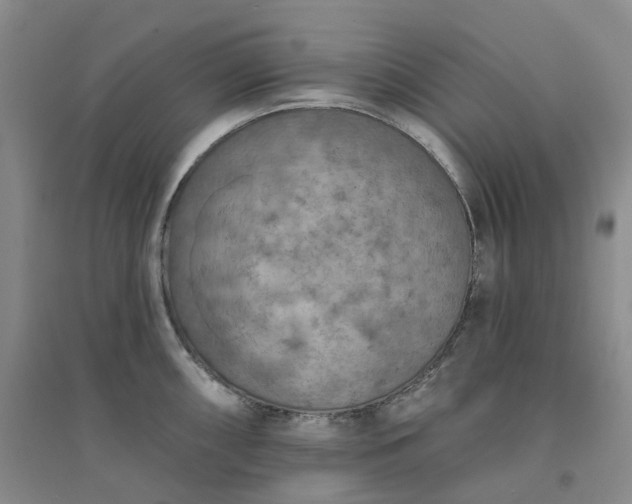 X0000094461098200711151444