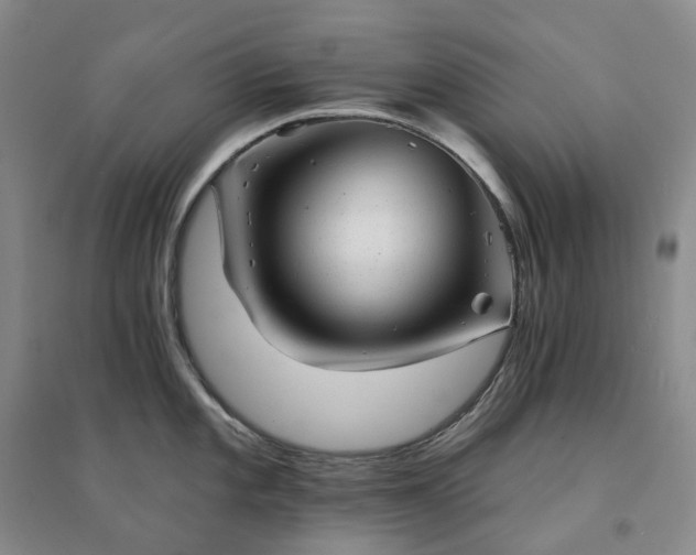 X0000094461101200711151444