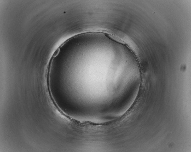 X0000094461102200711151444