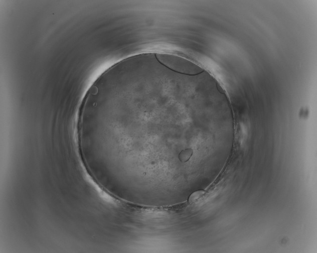 X0000094461103200711151444