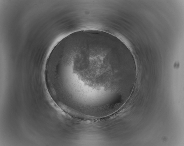 X0000094461104200711151444