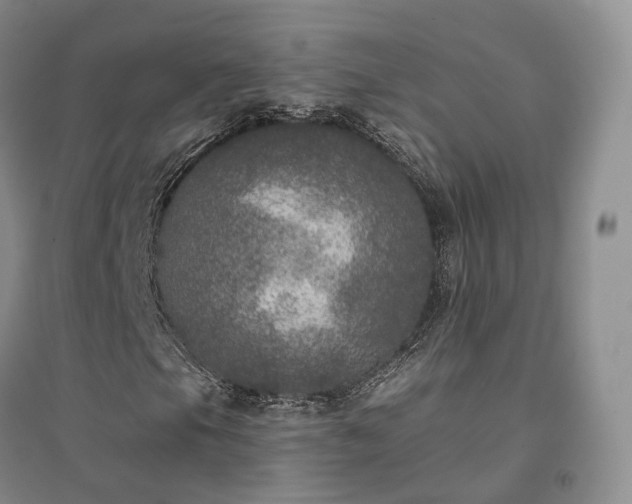 X0000094461105200711151443