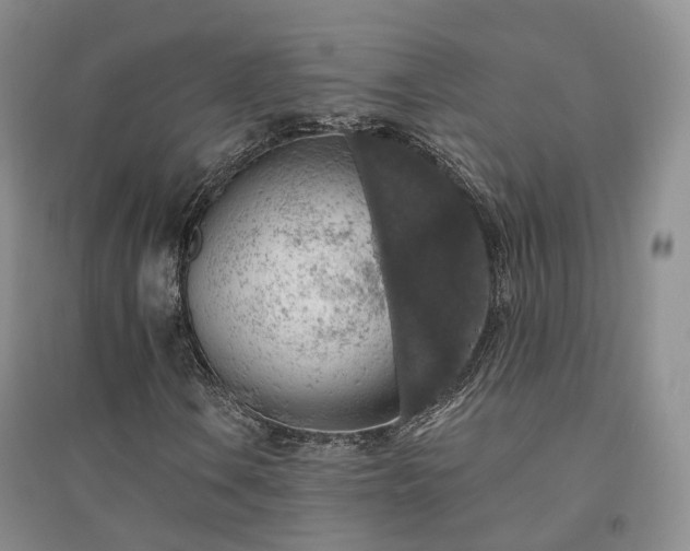 X0000094461106200711151443