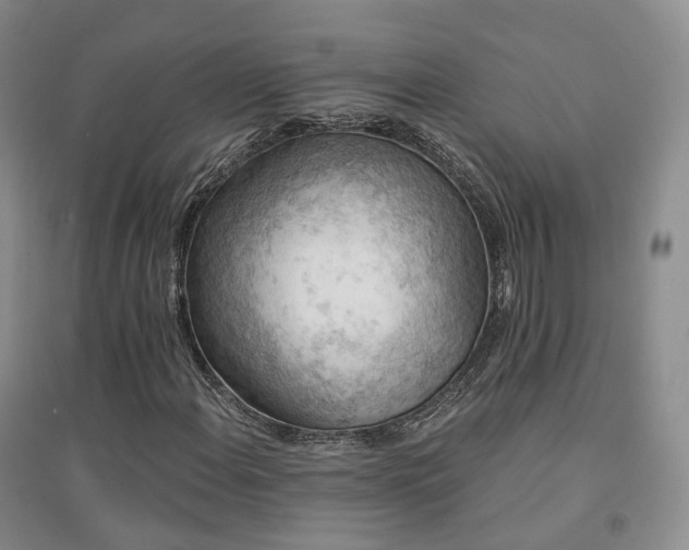 X0000094461108200711151443