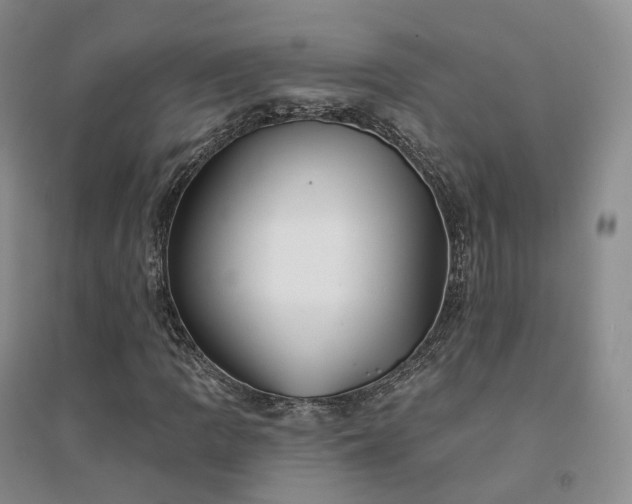 X0000094461109200711151443