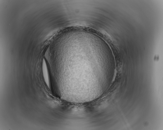 X0000094461110200711151443