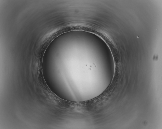 X0000094461111200711151443
