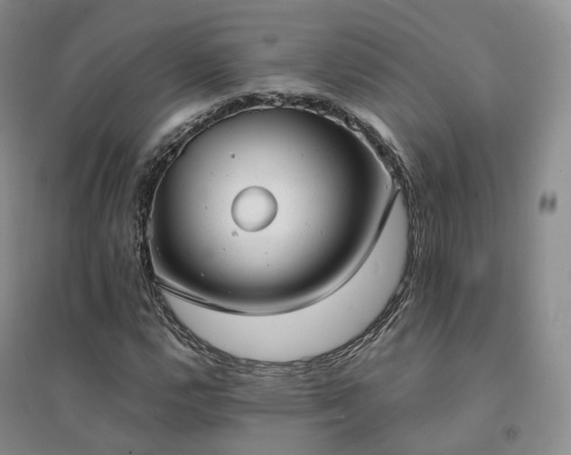 X0000094461112200711151443