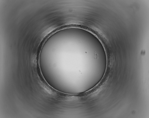 X0000094461113200711151443